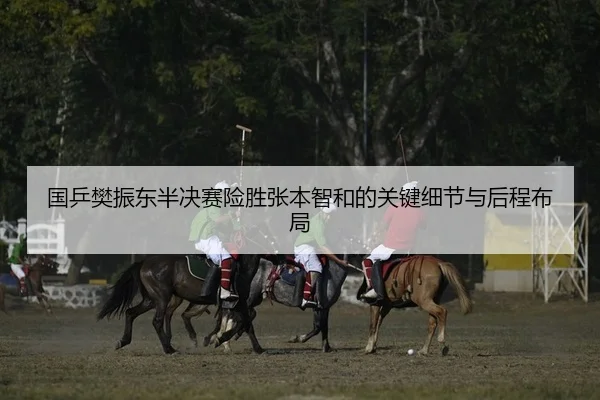 国乒樊振东半决赛险胜张本智和的关键细节与后程布局