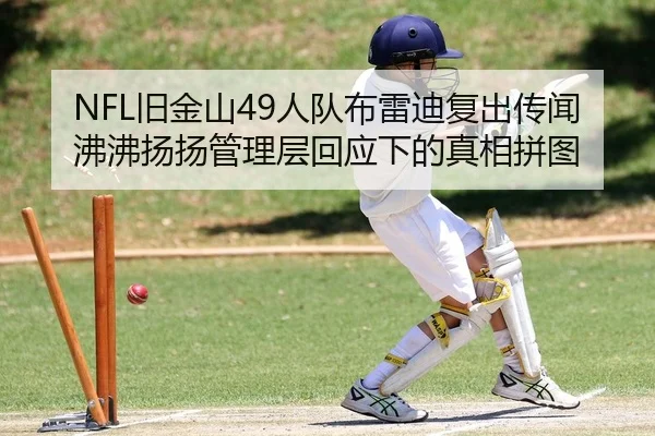NFL旧金山49人队布雷迪复出传闻沸沸扬扬管理层回应下的真相拼图